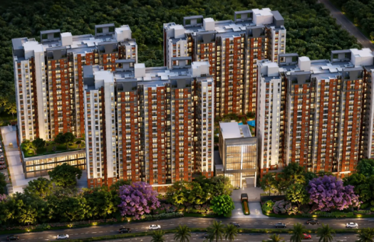 Provident Bayscape